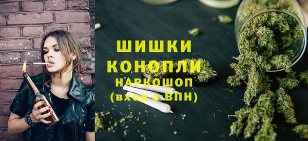 бошки Алексин