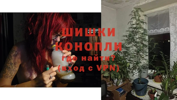 бошки Алексин