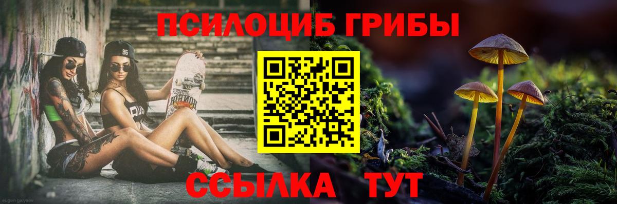 Псилоцибиновые грибы ЛСД  Псилоцибиновые грибы мицелий  Ирбит  Вход с VPN 